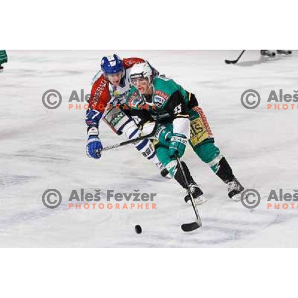 Chris D\'alvise of Telemach Olimpija in action during Icefest 2013 open-air hockey match played on Joze Plecnik Bezigrad stadion in Ljubljana, Slovenia on January 6th, 2013 