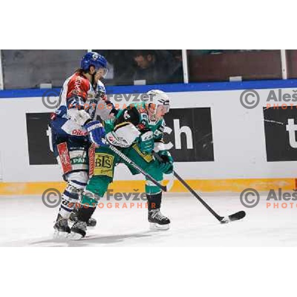 Chris D\'Alvise of Telemach Olimpija and Gal Koren of KHL Medvescak Zagreb in action during Icefest 2013 open-air hockey match played on Joze Plecnik Bezigrad stadion in Ljubljana, Slovenia on January 6th, 2013 