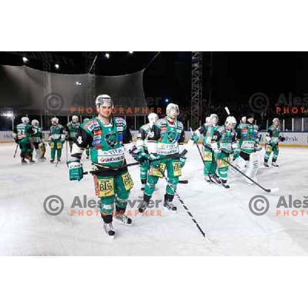 Team of Telemach Olimpija in action during Icefest 2013 open-air hockey match played on Joze Plecnik Bezigrad stadion in Ljubljana, Slovenia on January 6th, 2013 