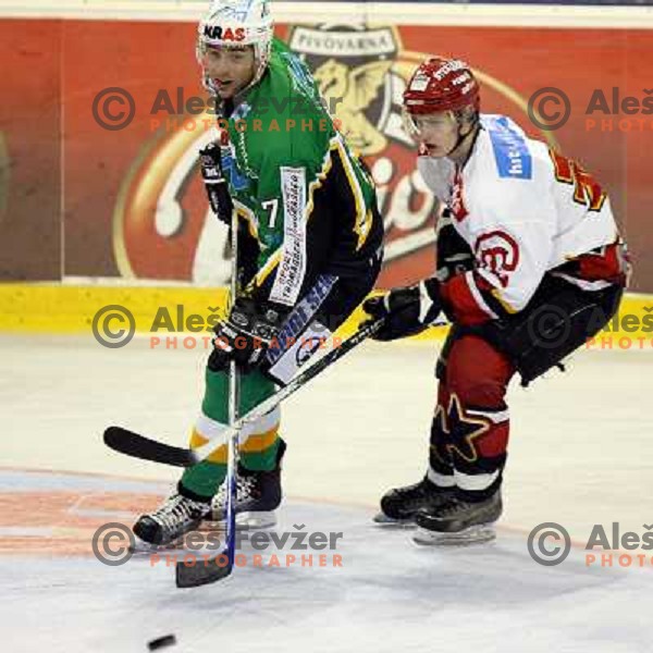 Lou Dickenson at ice hockey match ZM Olimpija-Acroni Jesenice in Hala Tivoli, Ljubljana. ZM Olimpija won the match 4:3.