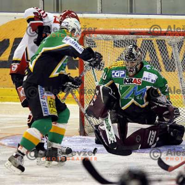 Sean Fields in action at ice hockey match ZM Olimpija-Acroni Jesenice in Hala Tivoli, Ljubljana. ZM Olimpija won the match 4:3.