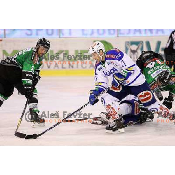Derek Ryan of VSV and Pascal Morency of Telemach Olimpija in action during ice-hockey match Telemach Olimpija- VSV in round 14 of Ebel league 2013/2014, played in Hala Tivoli, Ljulbjana, Slovenia on October 20,2013 
