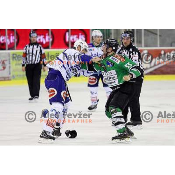 Curtis Fraser of VSV and Pascal Morency of Telemach Olimpija in action during ice-hockey match Telemach Olimpija- VSV in round 14 of Ebel league 2013/2014, played in Hala Tivoli, Ljulbjana, Slovenia on October 20,2013 