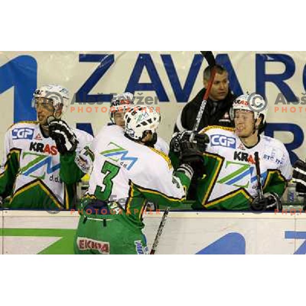 Ciglenecki celebrate his second goal during third game of the Ice-Hockey Finals of Slovenian National Championship between ZM Olimpija-Banque Royale Slavija. ZM Olimpija won the game 6:1 and leads the series 2:1