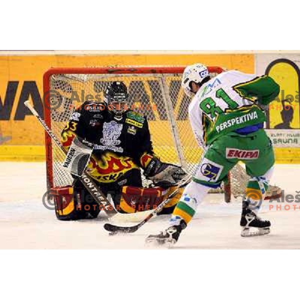 Jure Kralj (81) in front of Anze Ulcar during third game of the Ice-Hockey Finals of Slovenian National Championship between ZM Olimpija-Banque Royale Slavija. ZM Olimpija won the game 6:1 and leads the series 2:1