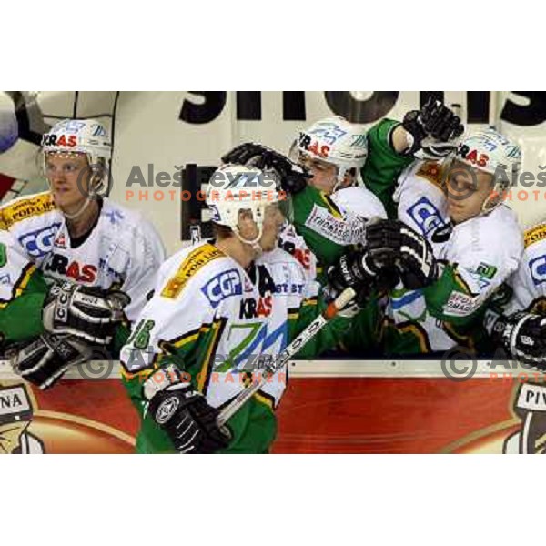 Ales Music (16) celebrate goal during third game of the Ice-Hockey Finals of Slovenian National Championship between ZM Olimpija-Banque Royale Slavija. ZM Olimpija won the game 6:1 and leads the series 2:1
