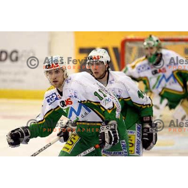 Gregor Slak (11) during third game of the Ice-Hockey Finals of Slovenian National Championship between ZM Olimpija-Banque Royale Slavija. ZM Olimpija won the game 6:1 and leads the series 2:1