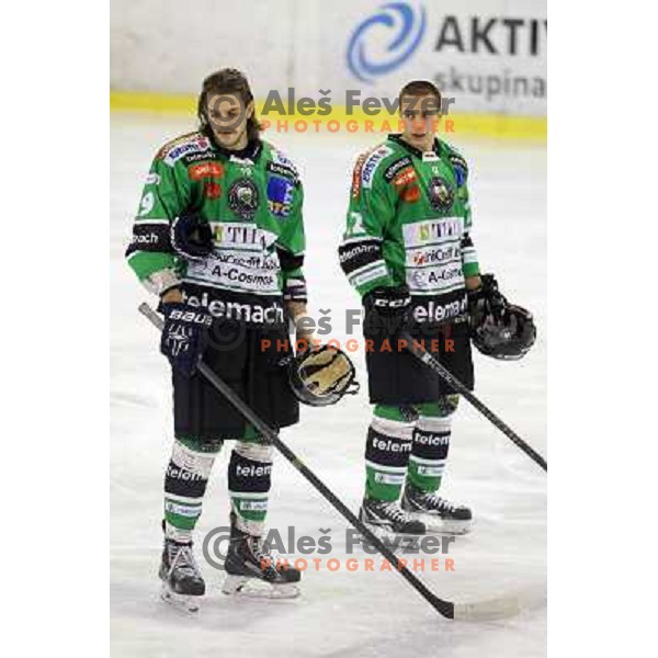 Gal Koren and Erik Pance of Telemach Olimpija in action during EBEL league ice-hockey match Telemach Olimpija-Dornbirn in Hala Tivoli, Ljubljana, Slovenia on January 3,2014 