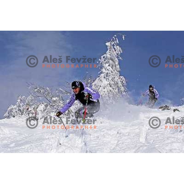 Skiing in fresh powder at Krvavec Ski Resort, Slovenia. Photo by Ales Fevzer