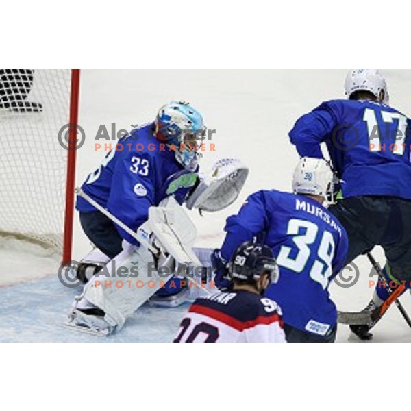 Robert Kristan of Slovenia in action during Preliminary round match Slovakia-Slovenia at Bolshoy Ice Dome, Sochi 2014 Winter Olympic games, Russia on February 15, 2014