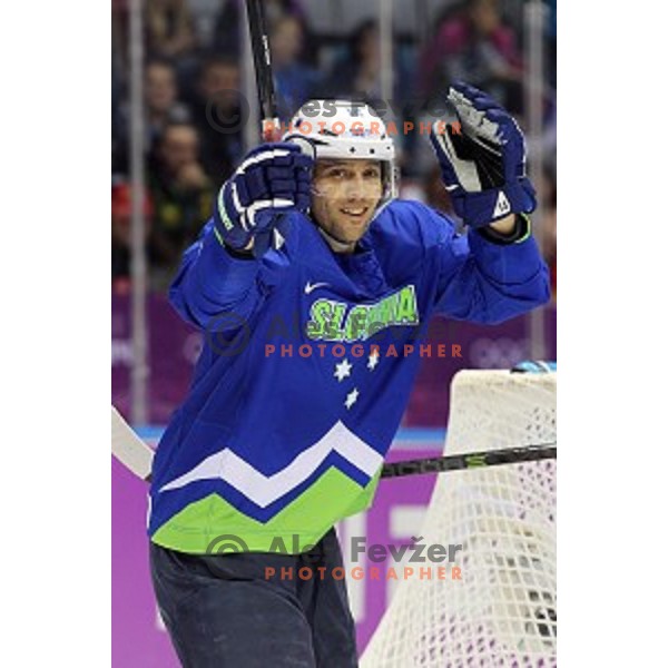 David Rodman of Slovenia in action during Preliminary round match Slovakia-Slovenia at Bolshoy Ice Dome, Sochi 2014 Winter Olympic games, Russia on February 15, 2014