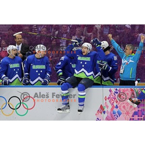 of Slovenia in action during Preliminary round match Slovakia-Slovenia at Bolshoy Ice Dome, Sochi 2014 Winter Olympic games, Russia on February 15, 2014