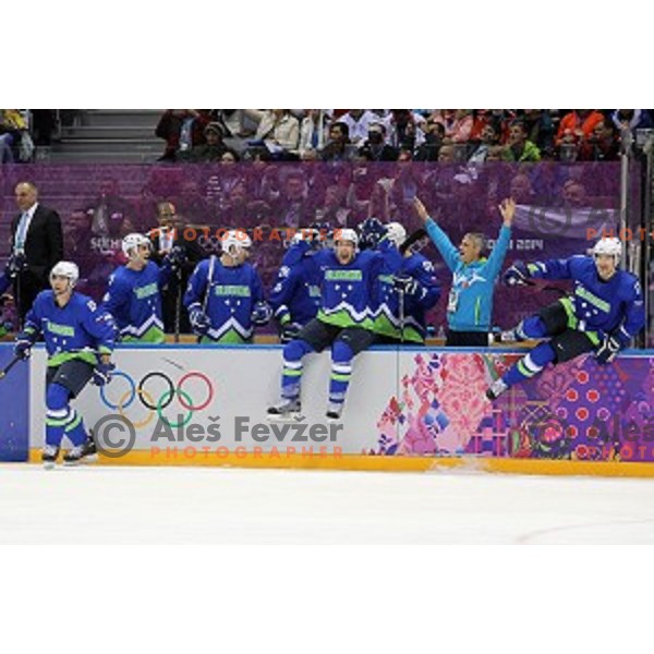 of Slovenia in action during Preliminary round match Slovakia-Slovenia at Bolshoy Ice Dome, Sochi 2014 Winter Olympic games, Russia on February 15, 2014