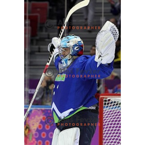 Robert Kristan of Slovenia in action during Preliminary round match Slovakia-Slovenia at Bolshoy Ice Dome, Sochi 2014 Winter Olympic games, Russia on February 15, 2014
