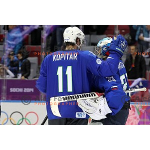 Anze Kopitar, Robert Kristan of Slovenia in action during Preliminary round match Slovakia-Slovenia at Bolshoy Ice Dome, Sochi 2014 Winter Olympic games, Russia on February 15, 2014