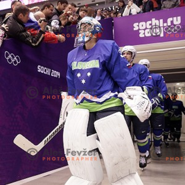 Robert Kristan of Slovenia in action during Preliminary round match Slovakia-Slovenia in Bolshoy Ice Dome, Sochi 2014 Winter Olympic games, Russia on February 15, 2014