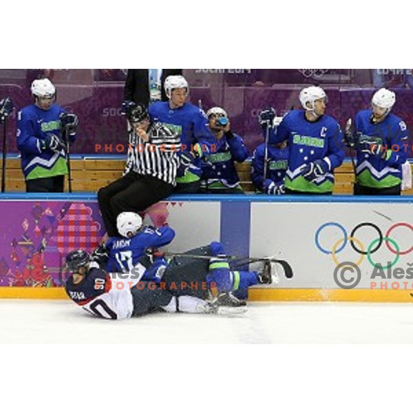 Ziga Pavlin of Slovenia in action during Preliminary round match Slovakia-Slovenia in Bolshoy Ice Dome, Sochi 2014 Winter Olympic games, Russia on February 15, 2014