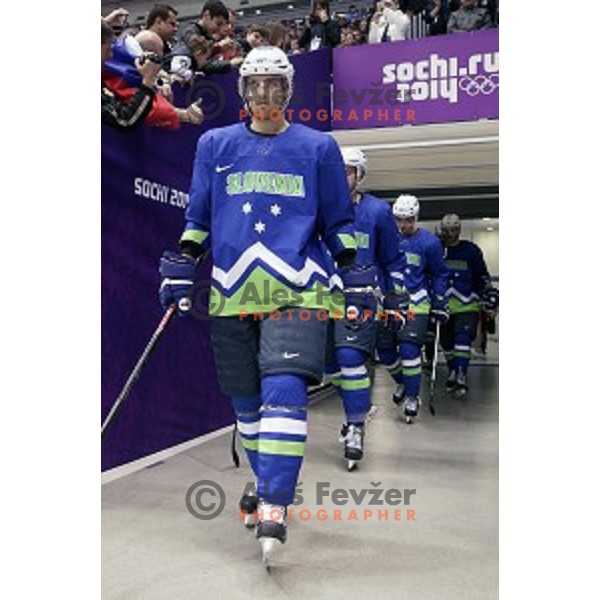 David Rodman of Slovenia in action during Preliminary round match Slovakia-Slovenia in Bolshoy Ice Dome, Sochi 2014 Winter Olympic games, Russia on February 15, 2014
