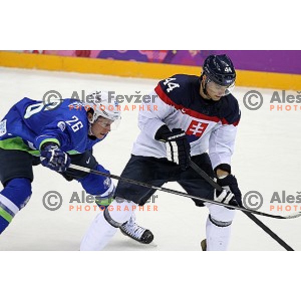 Jan Urbas of Slovenia in action during Preliminary round match Slovakia-Slovenia in Bolshoy Ice Dome, Sochi 2014 Winter Olympic games, Russia on February 15, 2014