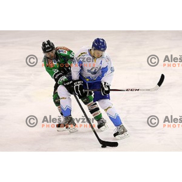 Pascual Morency and Tadej Cimzar in action during ice-hockey match Telemach Olimpija-Triglav in semi-final of DP of Slovenia played in Hala Tivoli, Ljubljana on March 27,2014