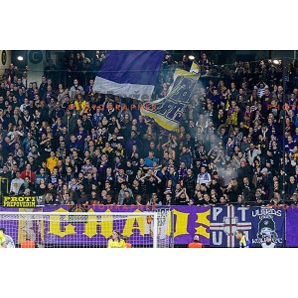 Viole in action during football match Maribor - Chelsea, UEFA Champions League, Ljudski Vrt , Maribor, 05.11.2014