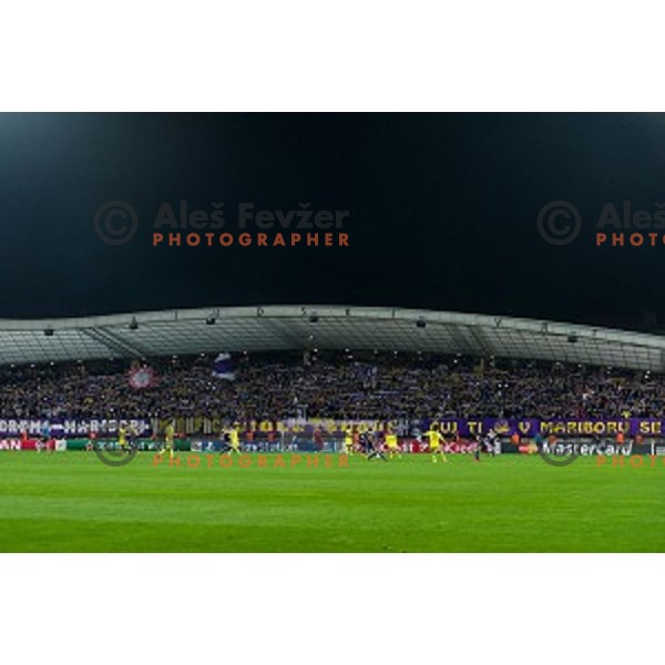 Viole in action during football match Maribor - Chelsea, UEFA Champions League, Ljudski Vrt , Maribor, 05.11.2014