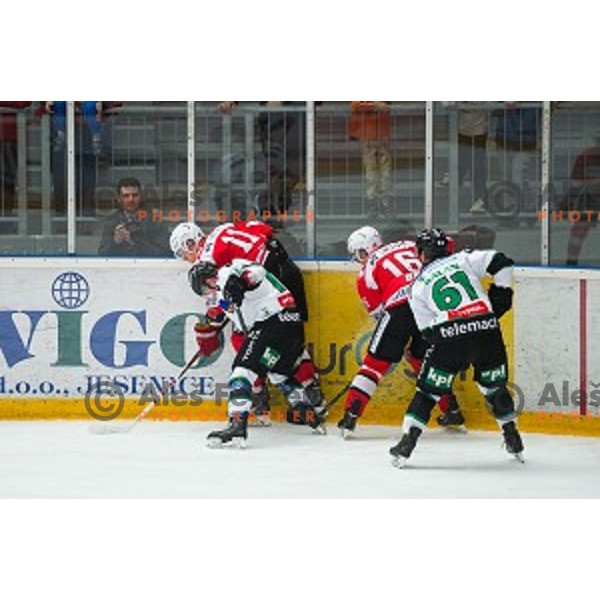 Action during ice hockey final match of Slovenian National League in Season 2014/15 between HDD SIJ Acroni Jesenice and HDD Telemach Olimpija, played in Podmezakla Hall, Jesenice, Slovenia, on April 15th, 2015.
