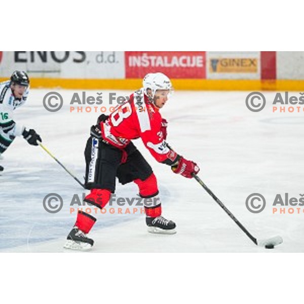 Ziga Grahut of HDD SIJ Acroni Jesenice in action during ice hockey final match of Slovenian National League in Season 2014/15 between HDD SIJ Acroni Jesenice and HDD Telemach Olimpija, played in Podmezakla Hall, Jesenice, Slovenia, on April 15th, 2015.