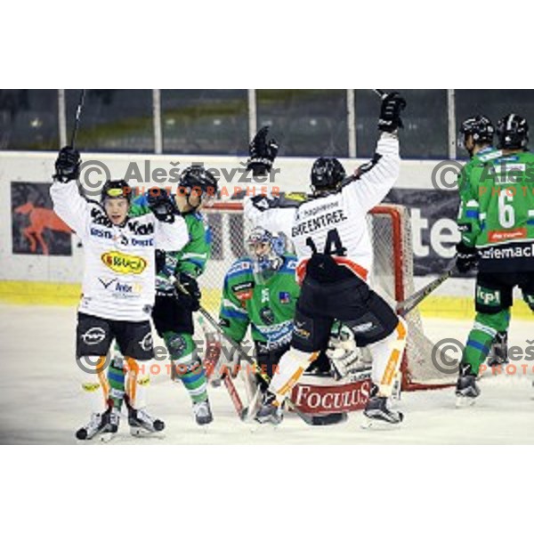 of Telemach Olimpija in action during ice-hockey match Telemach Olimpija-Dornbirn in EBEL league 2015/2016 in Hala Tivoli, Ljubljana, Slovenia on October 13, 2015