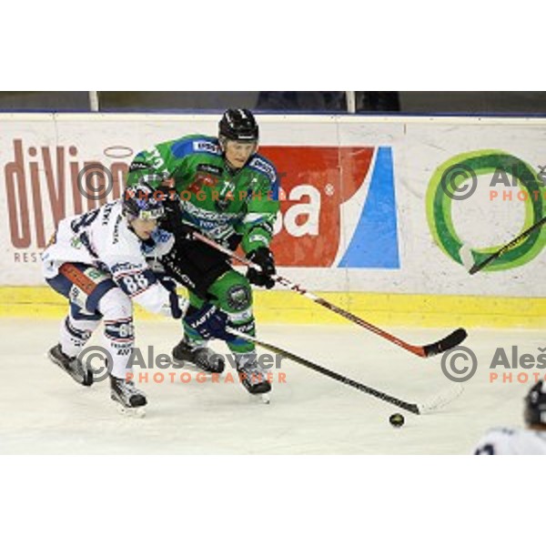 of Telemach Olimpija in action during ice-hockey match Telemach Olimpija-Sapa Fehervar AV 19 in EBEL league 2015/2016 in Tivoli Hall, Ljubljana, Slovenia on January 1, 2016