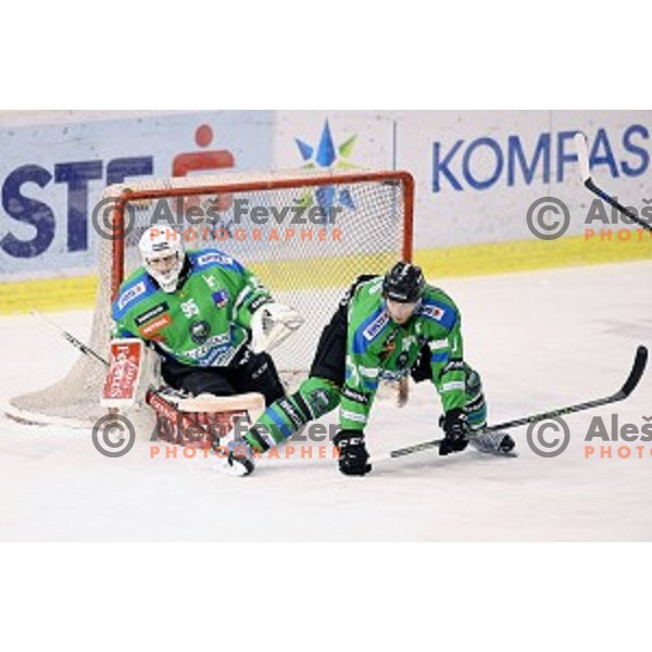 of Telemach Olimpija in action during ice-hockey match Telemach Olimpija-Sapa Fehervar AV 19 in EBEL league 2015/2016 in Tivoli Hall, Ljubljana, Slovenia on January 1, 2016