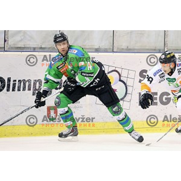 Matej Hocevar of Telemach Olimpija in action during ice-hockey match Telemach Olimpija-Moser Medical Graz 99ers in EBEL league 2015/2016 in Tivoli Hall, Ljubljana, Slovenia on January 5, 2016