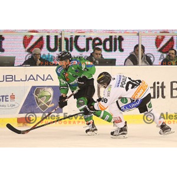 of Telemach Olimpija in action during ice-hockey match Telemach Olimpija-Moser Medical Graz 99ers in EBEL league 2015/2016 in Tivoli Hall, Ljubljana, Slovenia on January 5, 2016