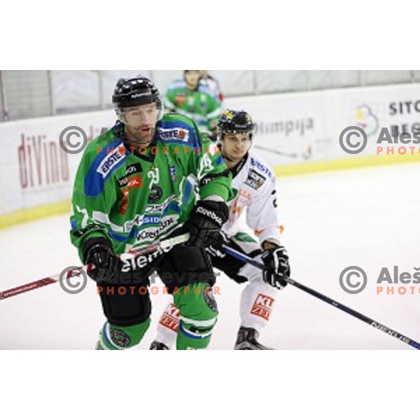 of Telemach Olimpija in action during ice-hockey match Telemach Olimpija-Moser Medical Graz 99ers in EBEL league 2015/2016 in Tivoli Hall, Ljubljana, Slovenia on January 5, 2016