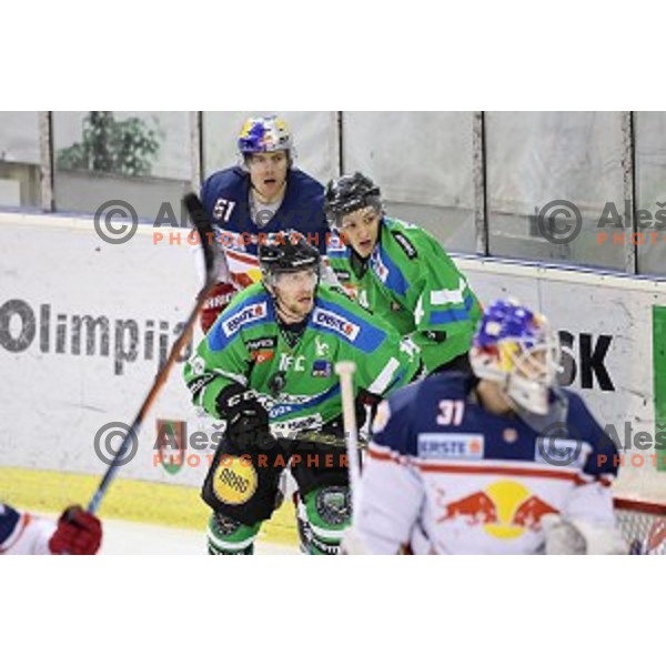 of Telemach Olimpija in action during ice-hockey match Telemach Olimpija - Red Bull Salzburg in EBEL league 2015/2016 in Tivoli Hall, Ljubljana, Slovenia on January 10, 2016