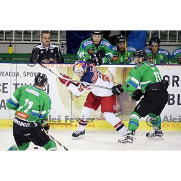 of Telemach Olimpija in action during ice-hockey match Telemach Olimpija - Red Bull Salzburg in EBEL league 2015/2016 in Tivoli Hall, Ljubljana, Slovenia on January 10, 2016