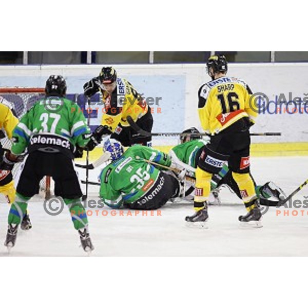 of Telemach Olimpija in action during ice-hockey match Telemach Olimpija- Vienna Capitals in EBEL league 2015/2016 in Tivoli Hall, Ljubljana, Slovenia on January 15, 2016