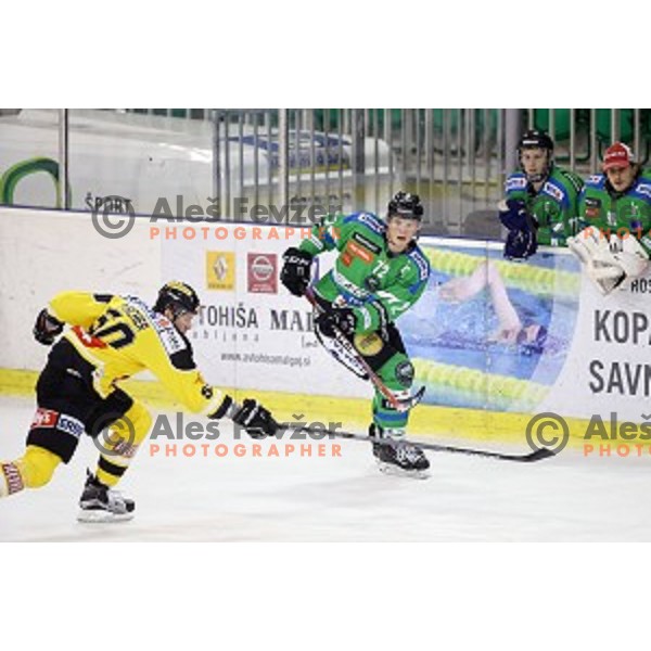 of Telemach Olimpija in action during ice-hockey match Telemach Olimpija- Vienna Capitals in EBEL league 2015/2016 in Tivoli Hall, Ljubljana, Slovenia on January 15, 2016