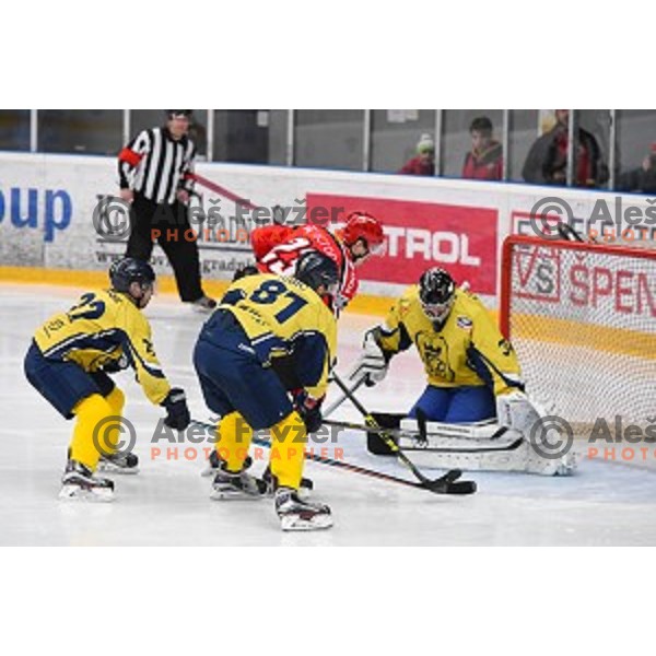 action during semi-final of Slovenian Championship ice-hockey match between SIJ Acroni Jesenice and ECE Celje in Podmezakla Hall, Jesenice, Slovenia on March 25, 2016