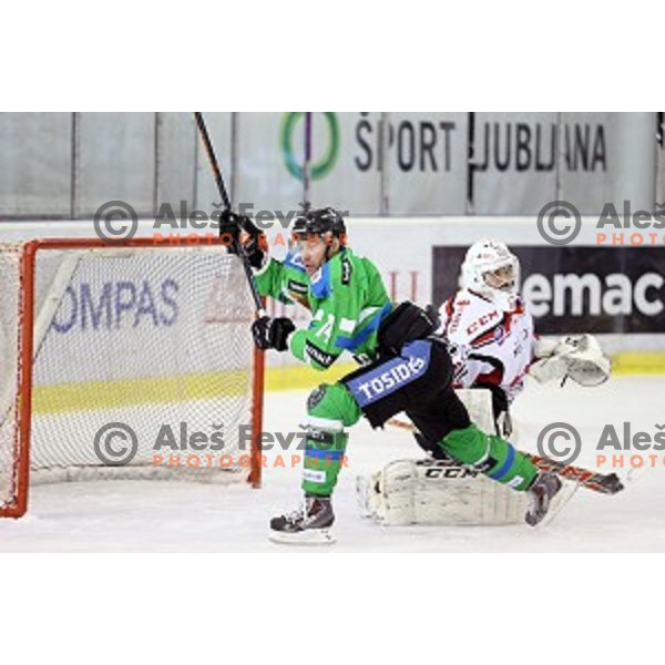 Matej Hocevar and Zan Us in action during ice-hockey match Telemach Olimpija - SIJ Acroni Jesenice in the Final of Slovenian Championship, Tivoli Hall, Ljubljana, Slovenia on March 28, 2016