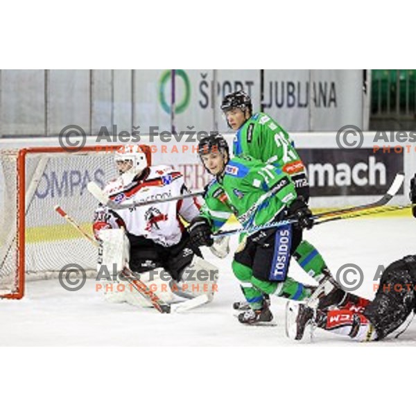 Aljaz Uduc in action during ice-hockey match Telemach Olimpija - SIJ Acroni Jesenice in the Final of Slovenian Championship, Tivoli Hall, Ljubljana, Slovenia on March 28, 2016