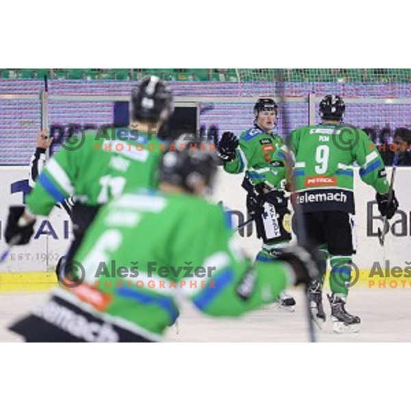 Miha Logar in action during ice-hockey match Telemach Olimpija - SIJ Acroni Jesenice in the Final of Slovenian Championship, Tivoli Hall, Ljubljana, Slovenia on March 28, 2016