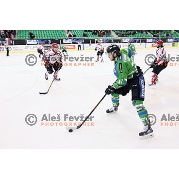 Gal Koren in action during ice-hockey match Telemach Olimpija - SIJ Acroni Jesenice in the Final of Slovenian Championship, Tivoli Hall, Ljubljana, Slovenia on March 28, 2016