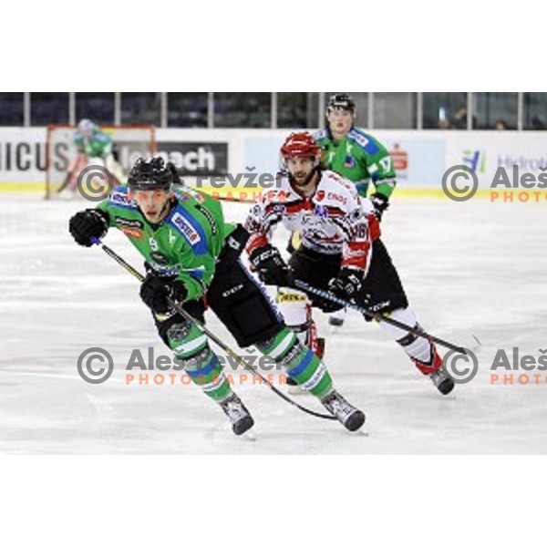Nik Pem and Marjan Manfreda in action during ice-hockey match Telemach Olimpija - SIJ Acroni Jesenice in the Final of Slovenian Championship, Tivoli Hall, Ljubljana, Slovenia on March 28, 2016