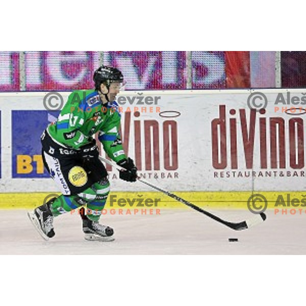 Luka Kalan in action during ice-hockey match Telemach Olimpija - SIJ Acroni Jesenice in the Final of Slovenian Championship, Tivoli Hall, Ljubljana, Slovenia on March 28, 2016