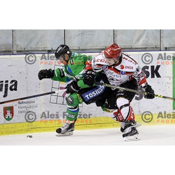 Anze Ropret and Andrej Zidan in action during ice-hockey match Telemach Olimpija - SIJ Acroni Jesenice in the Final of Slovenian Championship, Tivoli Hall, Ljubljana, Slovenia on March 28, 2016