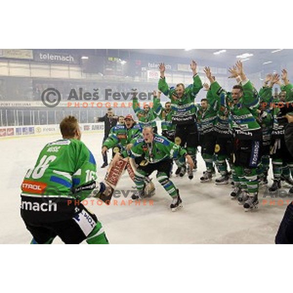 of Telemach Olimpija in action during ice-hockey match Telemach Olimpija - SIJ Acroni Jesenice in the Final of Slovenian Championship, Tivoli Hall, Ljubljana, Slovenia on April 11, 2016
