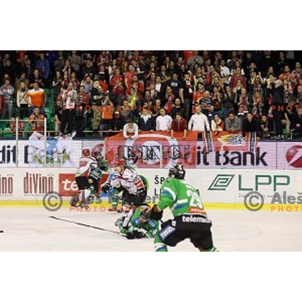 of Telemach Olimpija in action during ice-hockey match Telemach Olimpija - SIJ Acroni Jesenice in the Final of Slovenian Championship, Tivoli Hall, Ljubljana, Slovenia on April 11, 2016