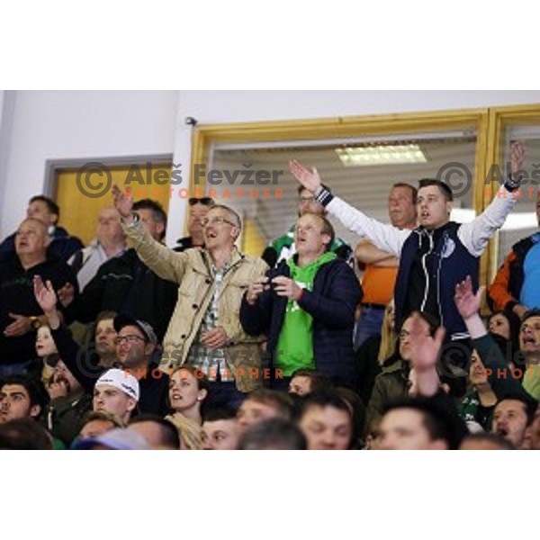 Fans of Telemach Olimpija in action during ice-hockey match Telemach Olimpija - SIJ Acroni Jesenice in the Final of Slovenian Championship, Tivoli Hall, Ljubljana, Slovenia on April 11, 2016