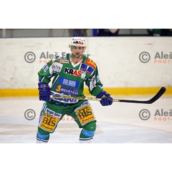 Gregor Poloncic during Olimpija-Jesenice ice hockey match in Tivoli Hall, Ljubljana, Slovenia on March 28, 2002